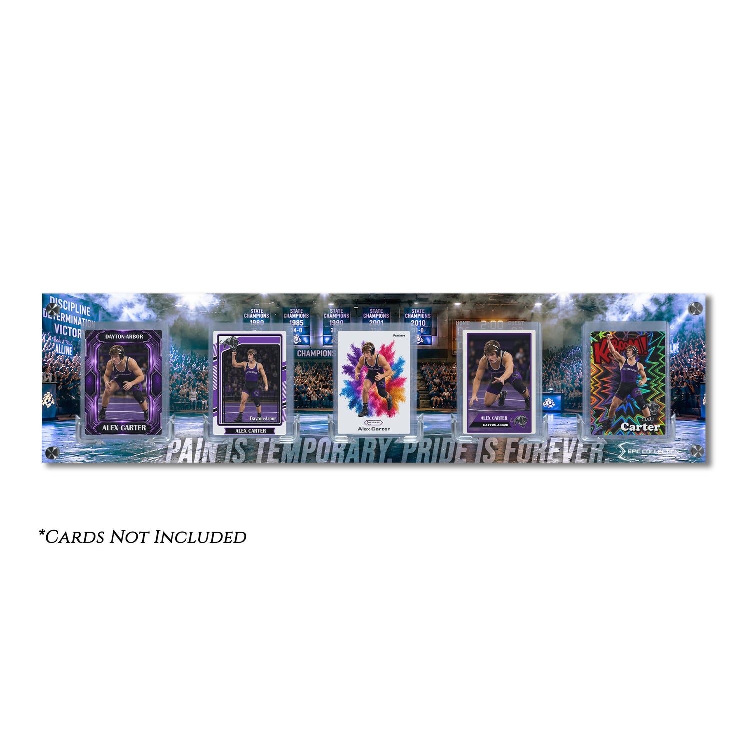 Elite Display - Stadium Series, Wrestling, Center Mat